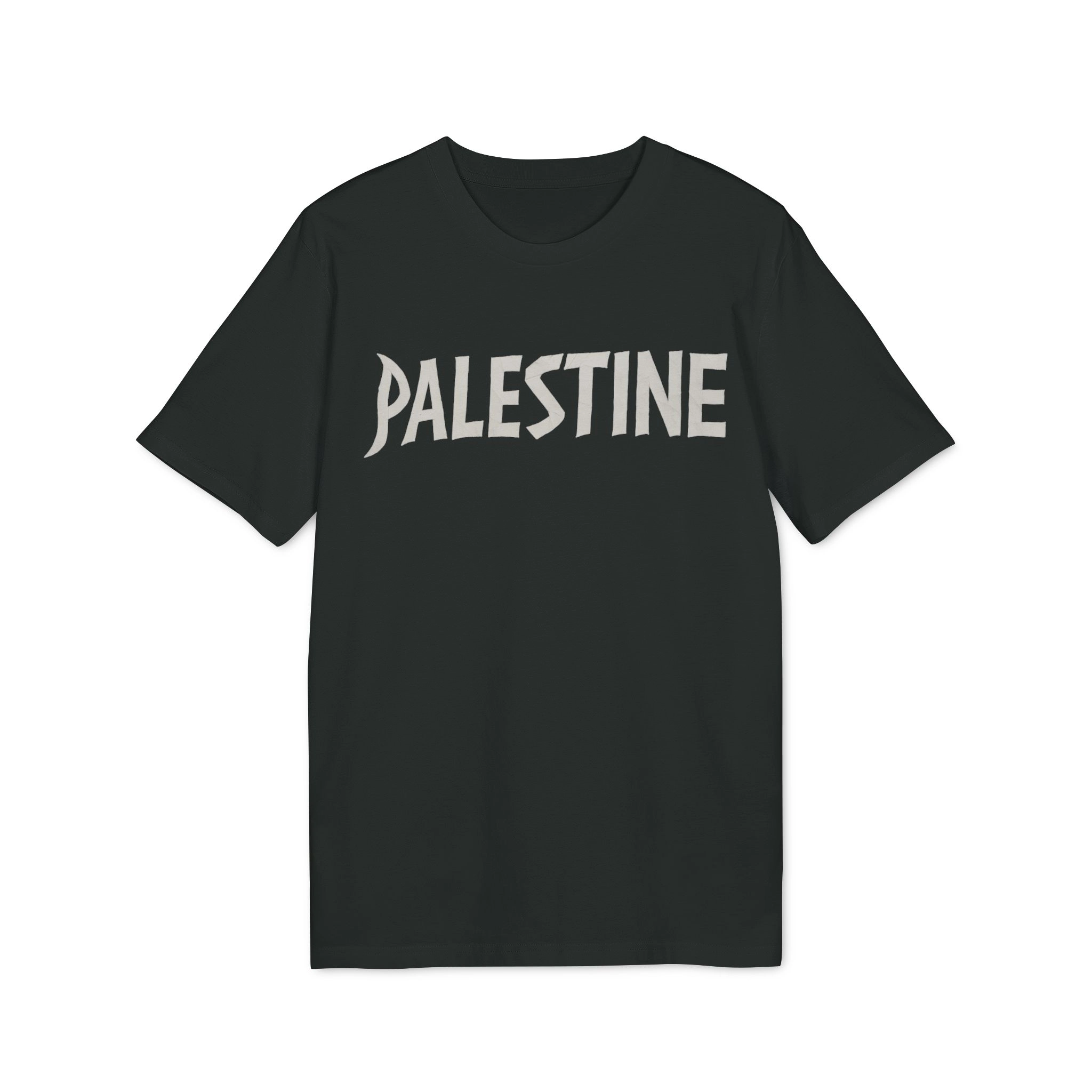 Cansin Köktürk Palestine Shirt