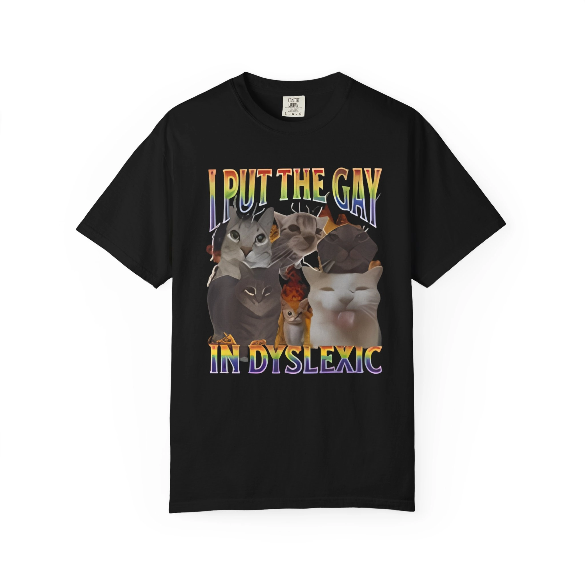 I Put the Gay in Dyslexic Megan Meiyok Shirt